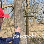 DGN - Basepohl - Round
